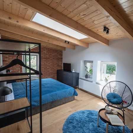 Apartamenty Mlynska 5 Bielsko-Biała Esterno foto
