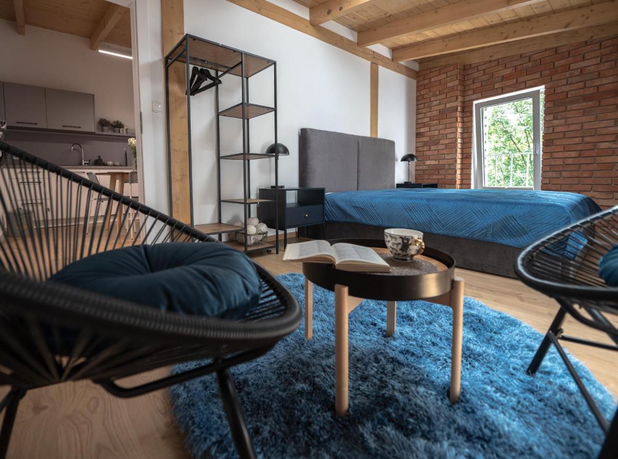 Apartamenty Mlynska 5 Bielsko-Biała Esterno foto