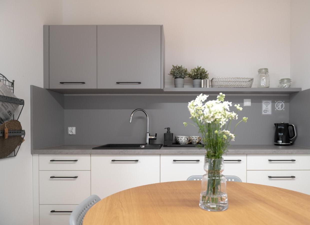 Apartamenty Mlynska 5 Bielsko-Biała Esterno foto