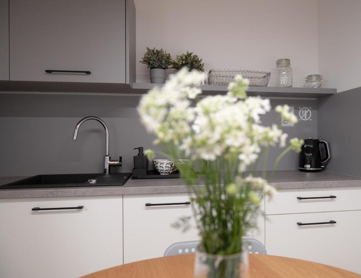 Apartamenty Mlynska 5 Bielsko-Biała Esterno foto
