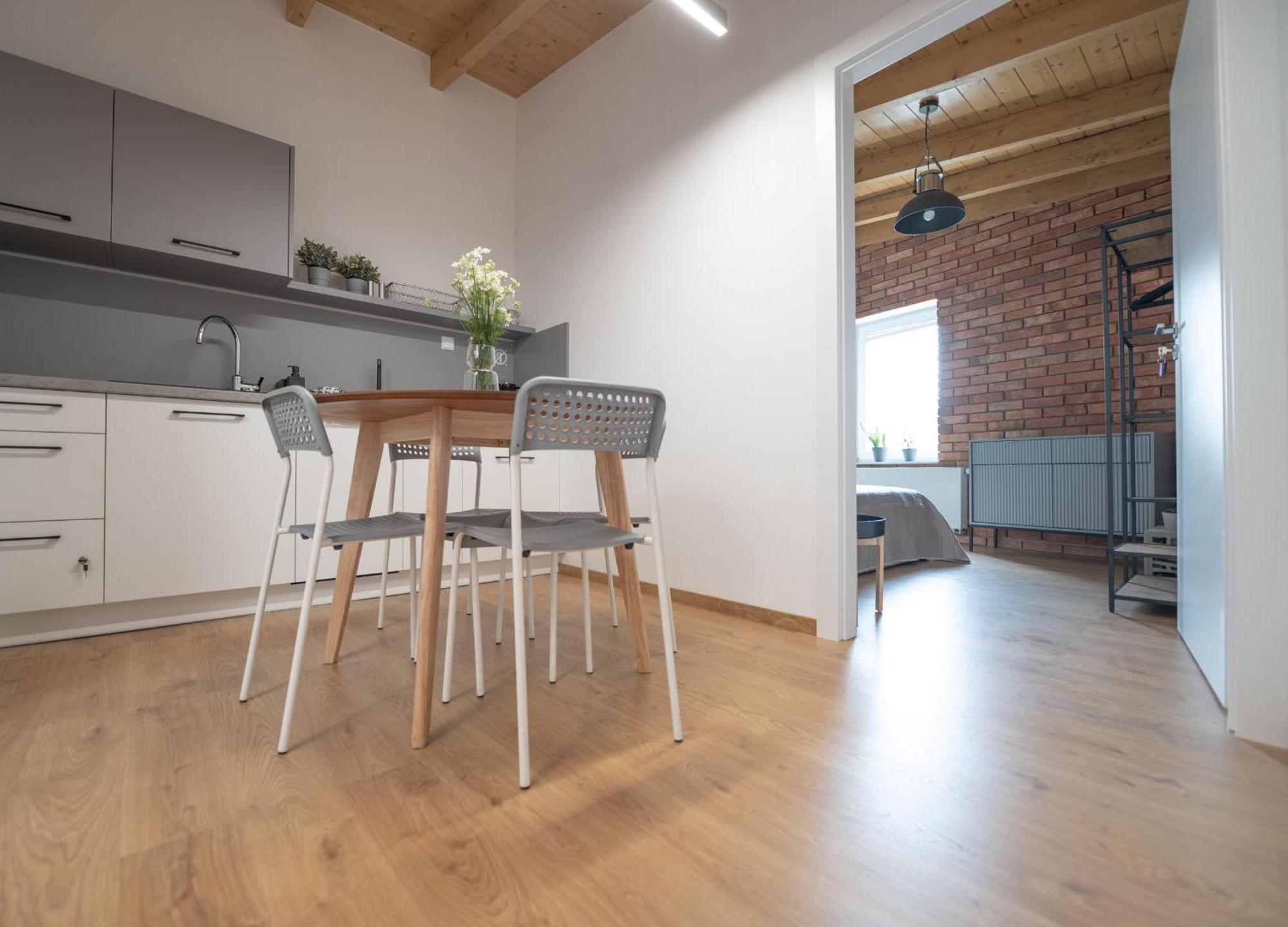 Apartamenty Mlynska 5 Bielsko-Biała Esterno foto