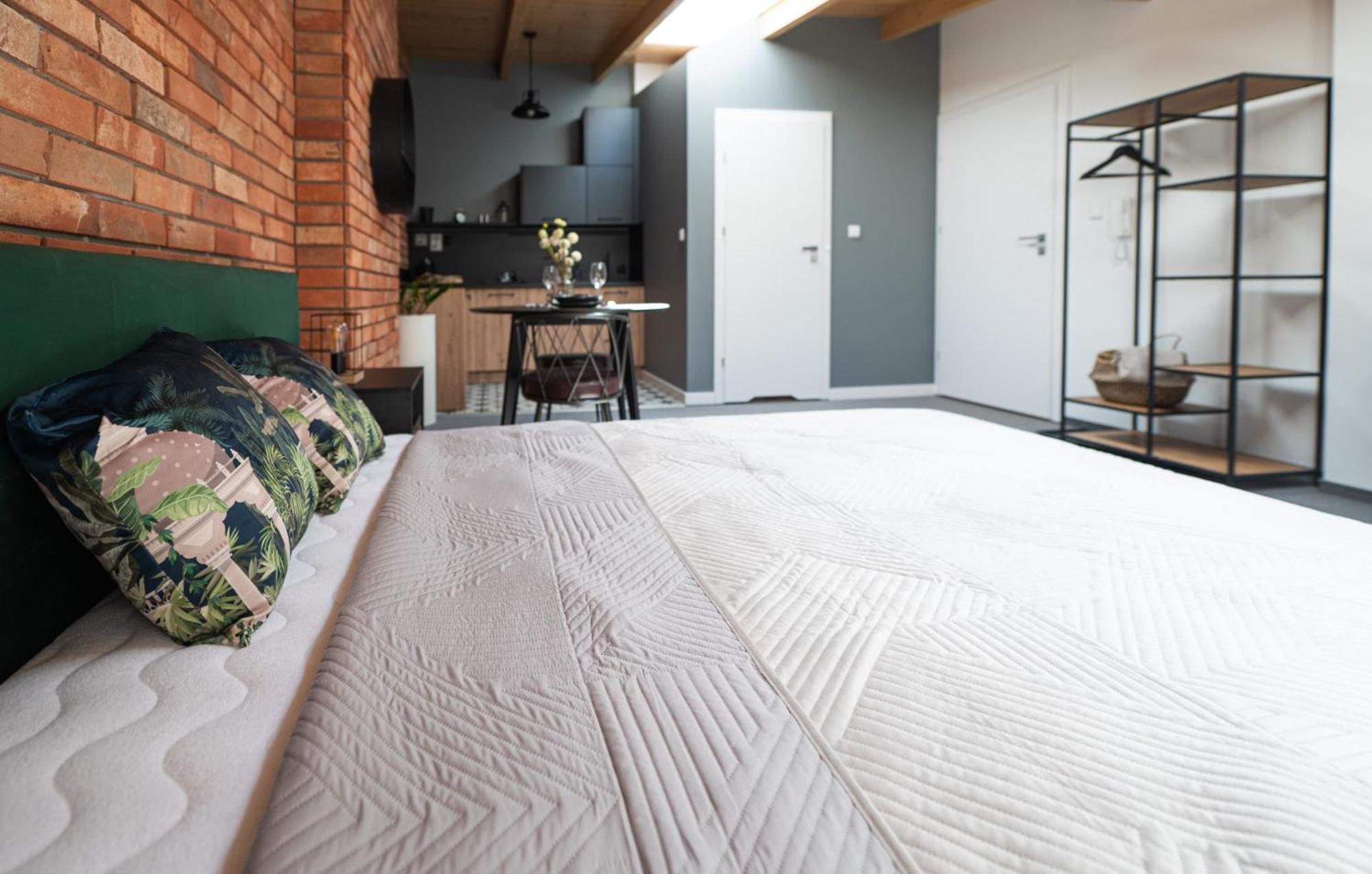 Apartamenty Mlynska 5 Bielsko-Biała Esterno foto