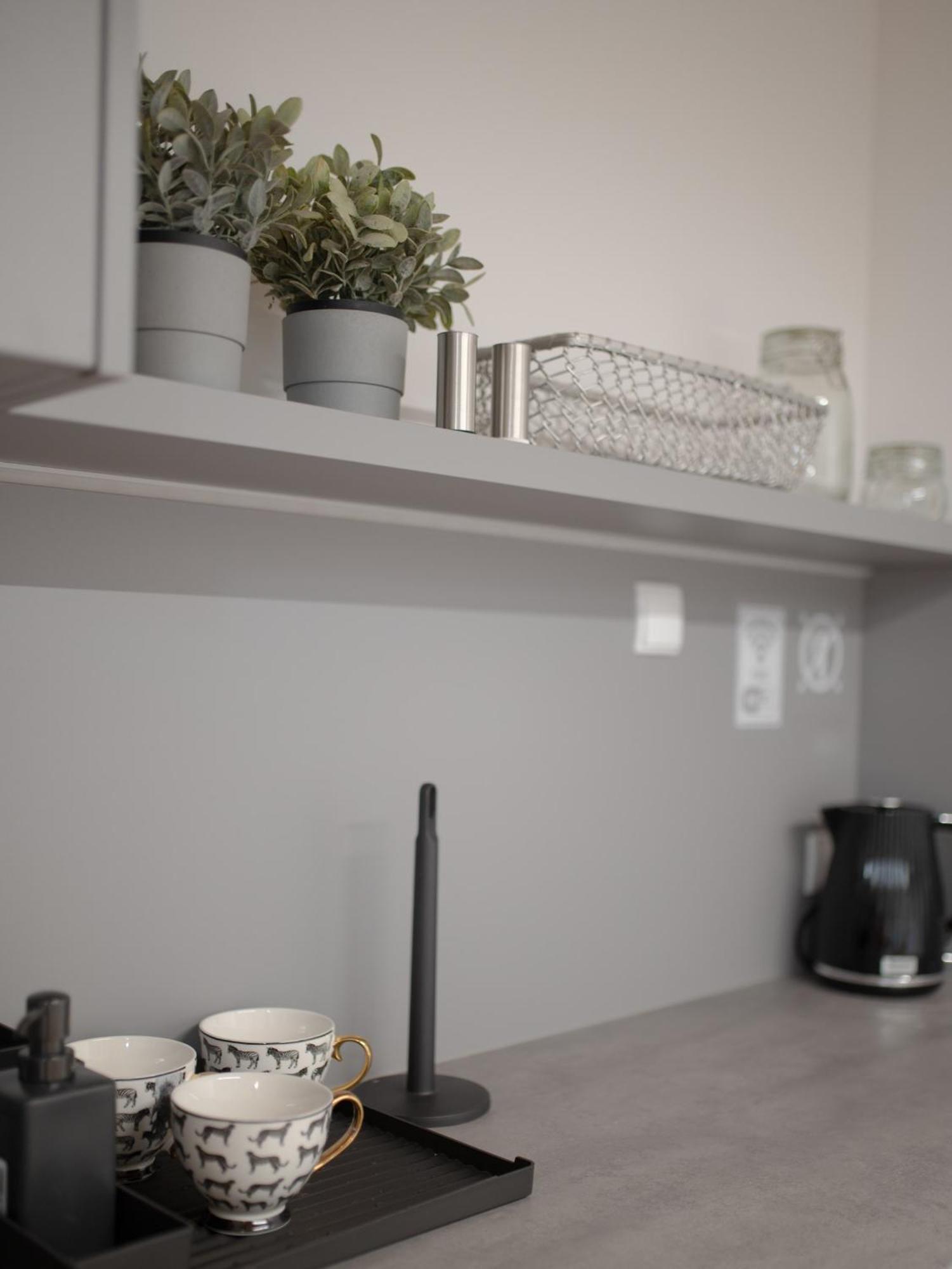 Apartamenty Mlynska 5 Bielsko-Biała Esterno foto